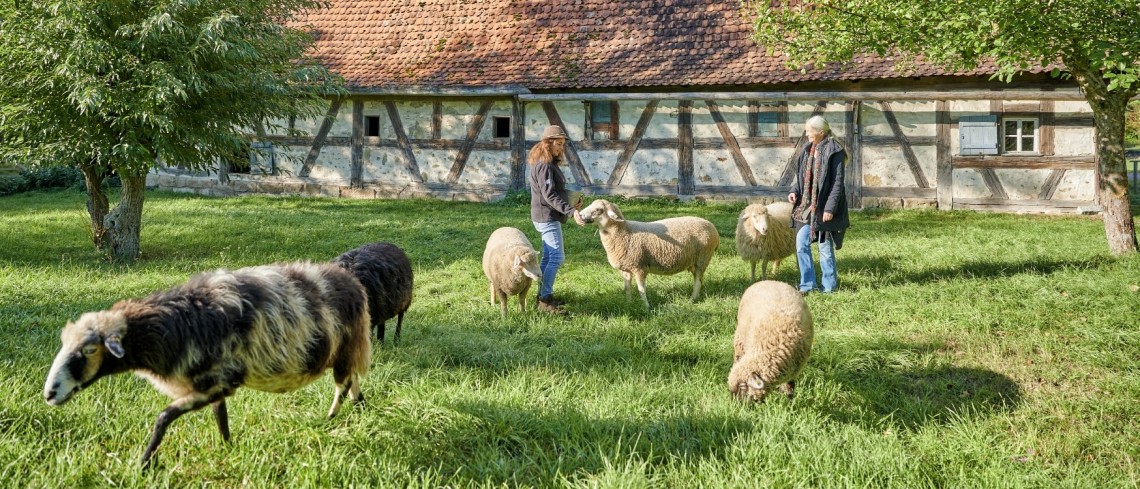 Zwei Menschen stehen mit sechs Schafen auf einer Wiese vor einem einst&ouml;ckigen Fachwerkgeb&auml;ude.